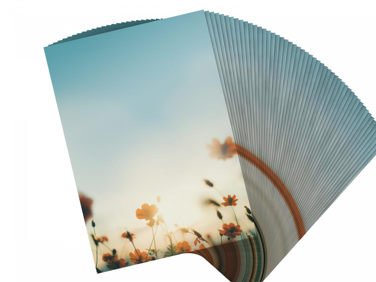 Stationery Autumn Sun Writing paper